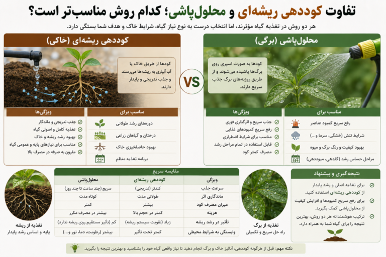تفاوت کوددهی ریشه‌ای و محلول‌پاشی؛ کدام روش مناسب‌تر است؟