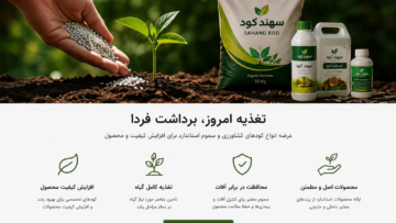 تغذیه اصولی گیاه