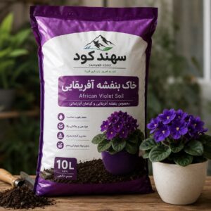 خاک بنفشه آفریقایی