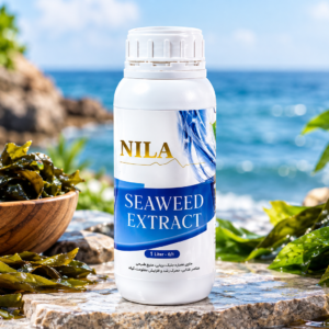 NILA SEAWEED EXTRACT