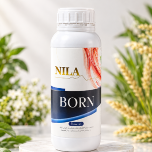 NILA BORN