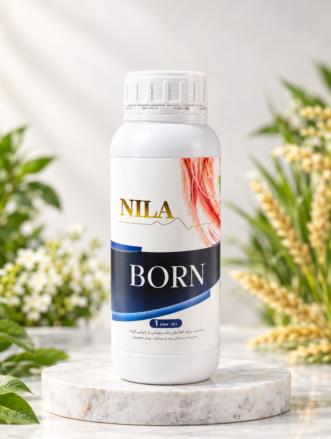 NILA BORN