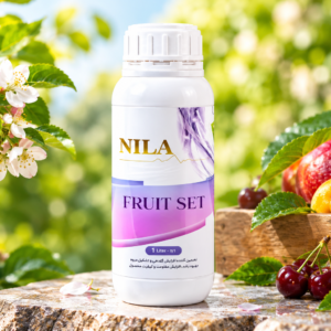 NILA FRUIT SET