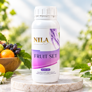 NILA FRUIT SET